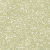 Rainbow Dust Edible Glitter 5g - Ivory