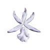 SK Great Impressions Petal Veiner Orchid Cambria Long Sepals Wide