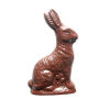 Sitting Easter Bunny Chocolate Mould