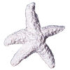 SK-GI Silicone Mould Starfish