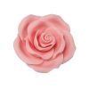 Sugar Soft Roses Light Pink 38mm