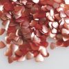 Rainbow Dust Edible Pink Hearts Confetti