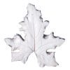 SK-GI Leaf Veiner Bryony- White (Cretica) Medium 6.5cm