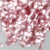 Rainbow Dust Edible Pink Blossom Confetti
