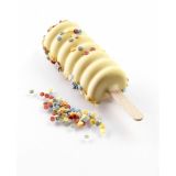 Mini Cakesicle / Ice Cream Mould Twister