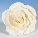 X Large Two Tone Ivory & Cream Vintage Wired Rose
