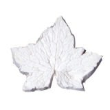 SK-GI Leaf Veiner Cranesbill (Geranium -P) Large 7.5cm