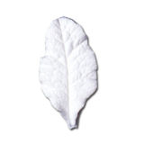 SK Great Impressions Leaf Veiner Primrose (Primula) Medium
