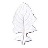 SK-GI Leaf Veiner Gerbera Small 6.0cm