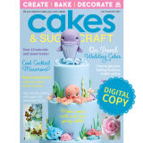 Cakes & Sugarcraft Magazine 164 - Digital Copy