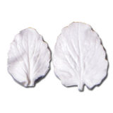 SK-GI Leaf Veiner Pansy Large (Viola) Large/Medium 5.5/4.5cm