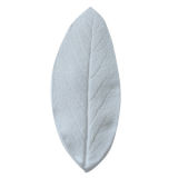 SK Great Impressions Leaf Veiner Sage Medium