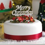 Merry Christmas Gumpaste Cake Topper