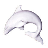 SK-GI Silicone Mould Dolphin