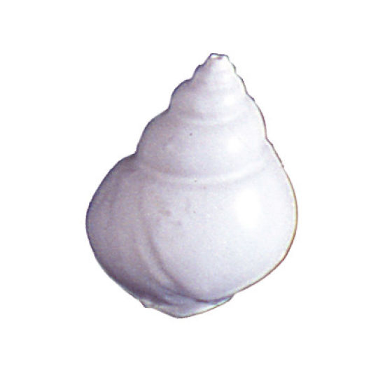 SK-GI Silicone Mould Shell Latirus Small