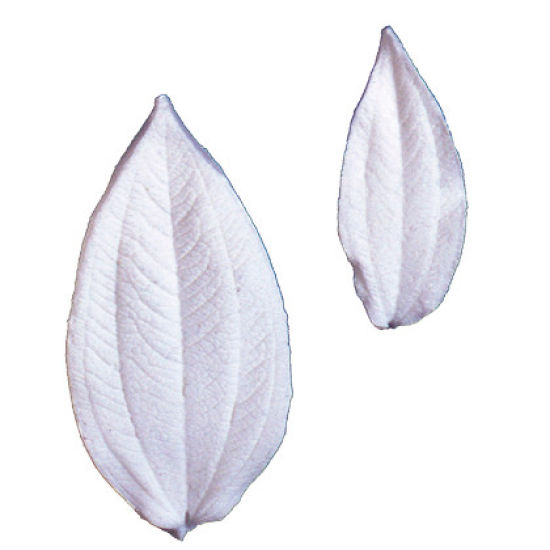 SK Great Impressions Leaf Veiner Tibouchinia 5cm S