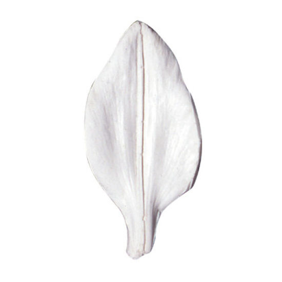 SK-GI Petal Veiner Lily- Asiatic 9.0cm