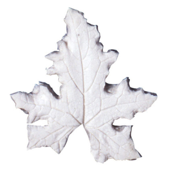 SK-GI Leaf Veiner Bryony- White (Cretica) Very Large 9.0cm